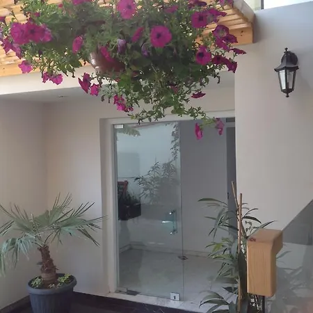 Apartament Zinonos City Flats